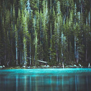 Закарпатська казка на 8 березня